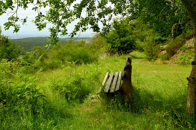 摩崖石刻 摩崖石刻
