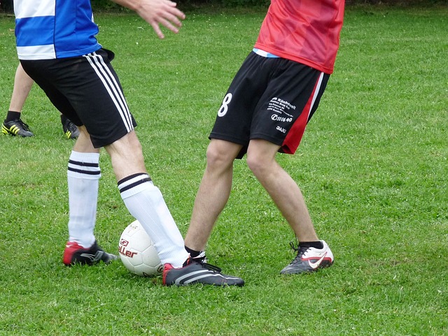 体心理素质 体心理素质