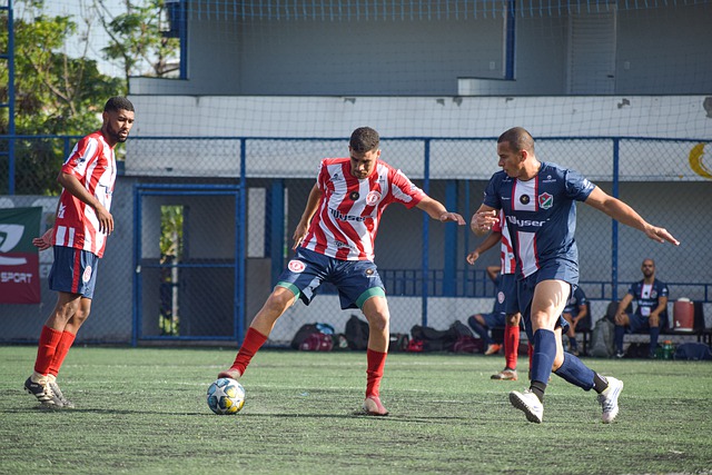 并进行有针 并进行有针